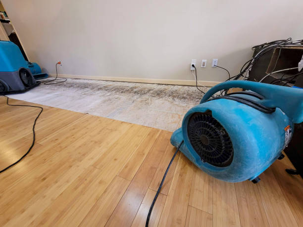 Professional Sewage Cleanup technician working in Indian Hills, CO